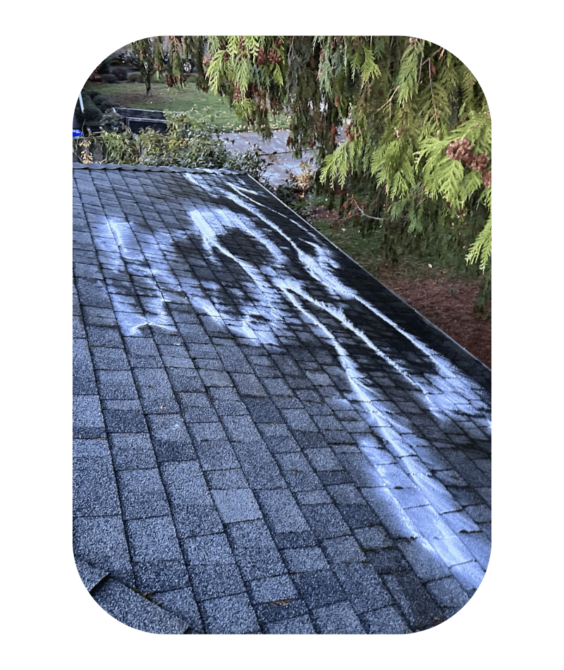 Roof Cleaning in Beaverton OR