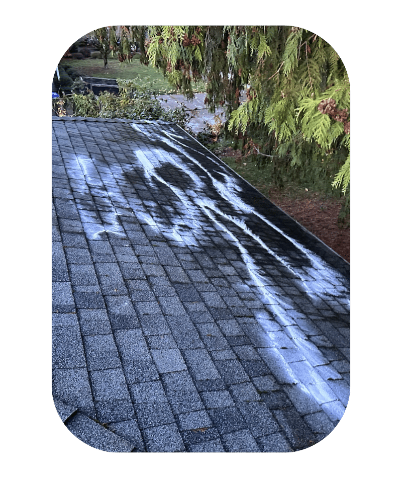 Roof Cleaning in Clackamas OR