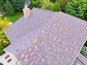 roof cleaning